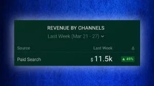 Paid search revenue